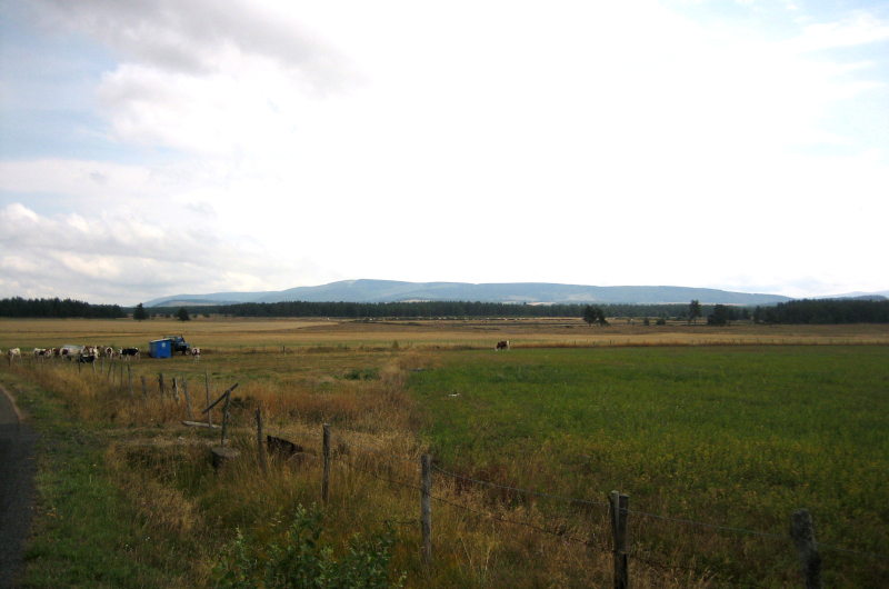 Causse de Montbel