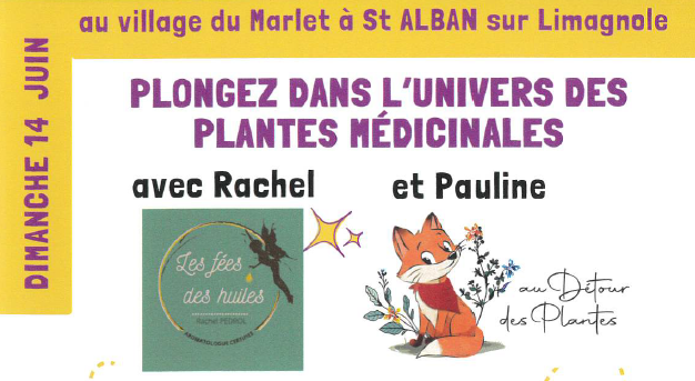PLONGEZ DANS LUNIVERS DES PLANTES MÉDICALES