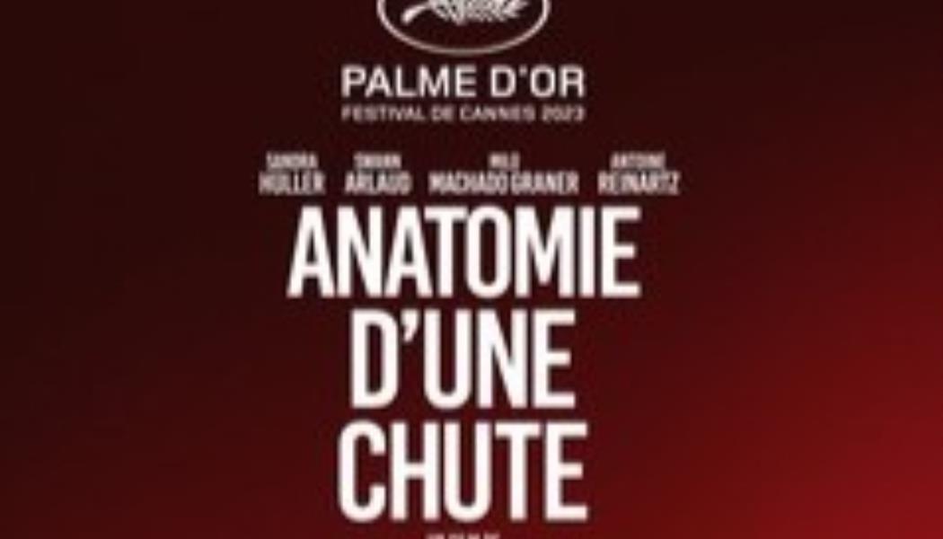 anatomie d'une chute