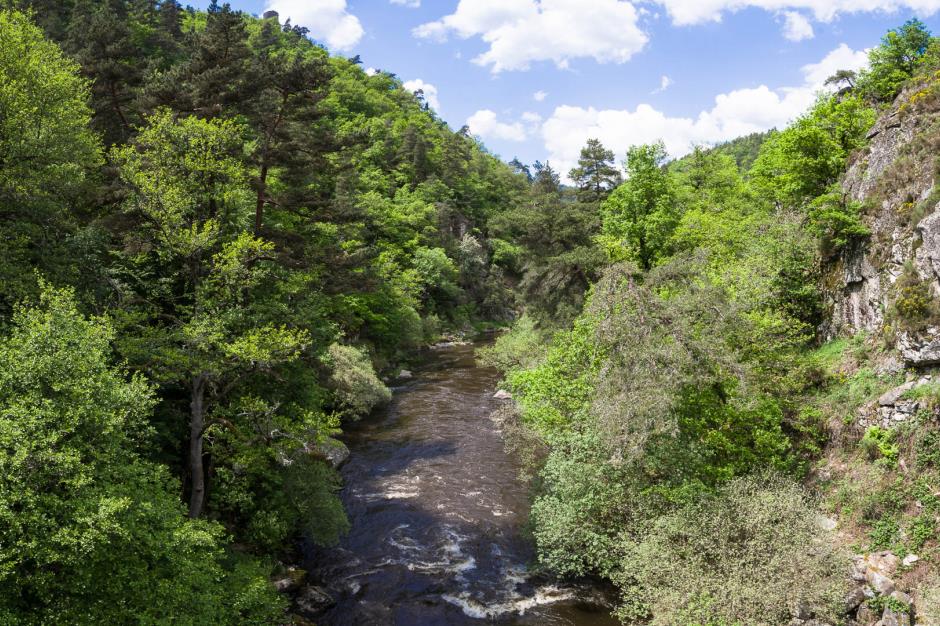 randonnee-printemps-margeride-lozere-mai-2023 PERSO -MarionLarguierPhotographie--BD-34 (2) 