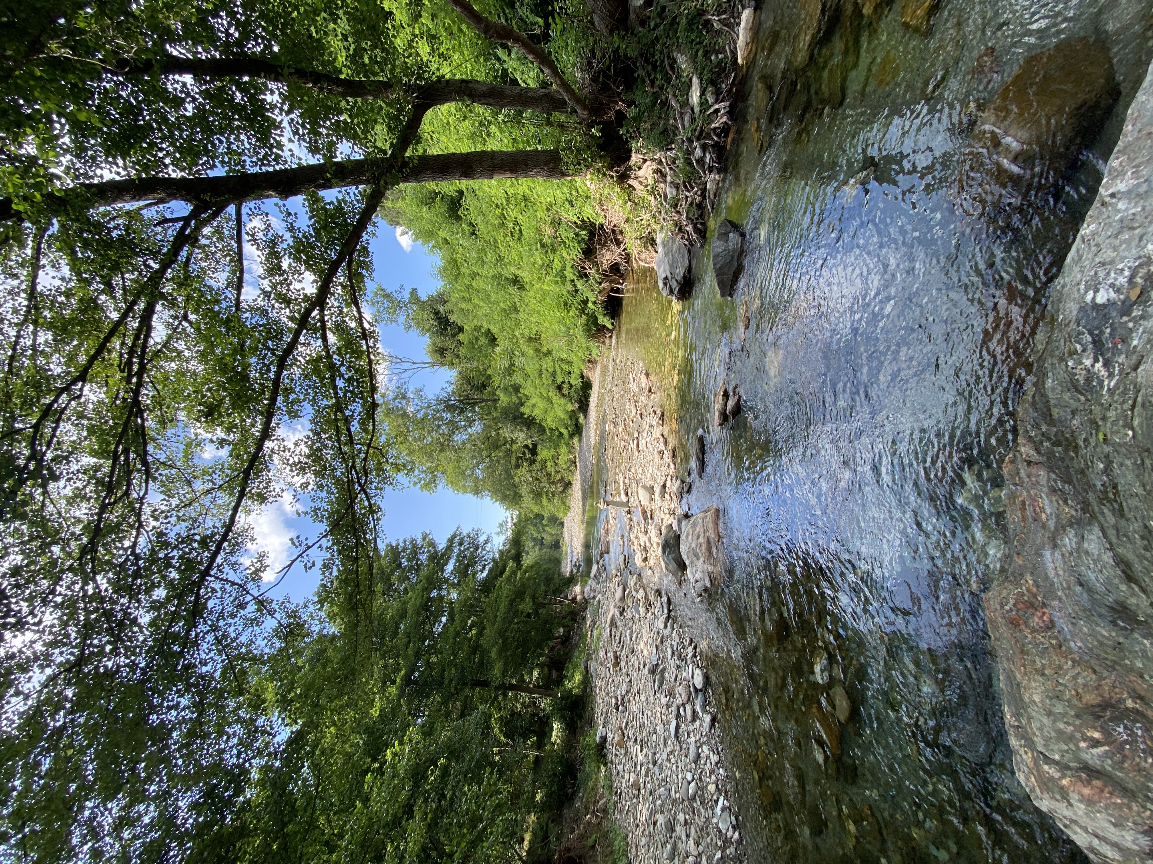 LES GÎTES DE SAINTE-CROIX - CHÂTAIGNE, Sainte-Croix-Vallée-Française - photo 22
