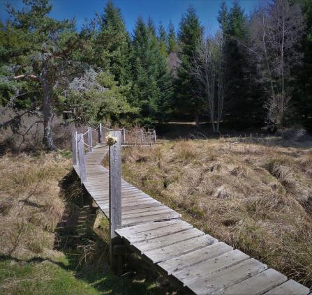 Sentier des sources du Lot