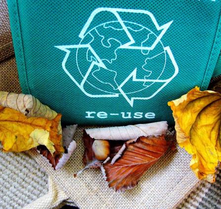 recyclage ecologie