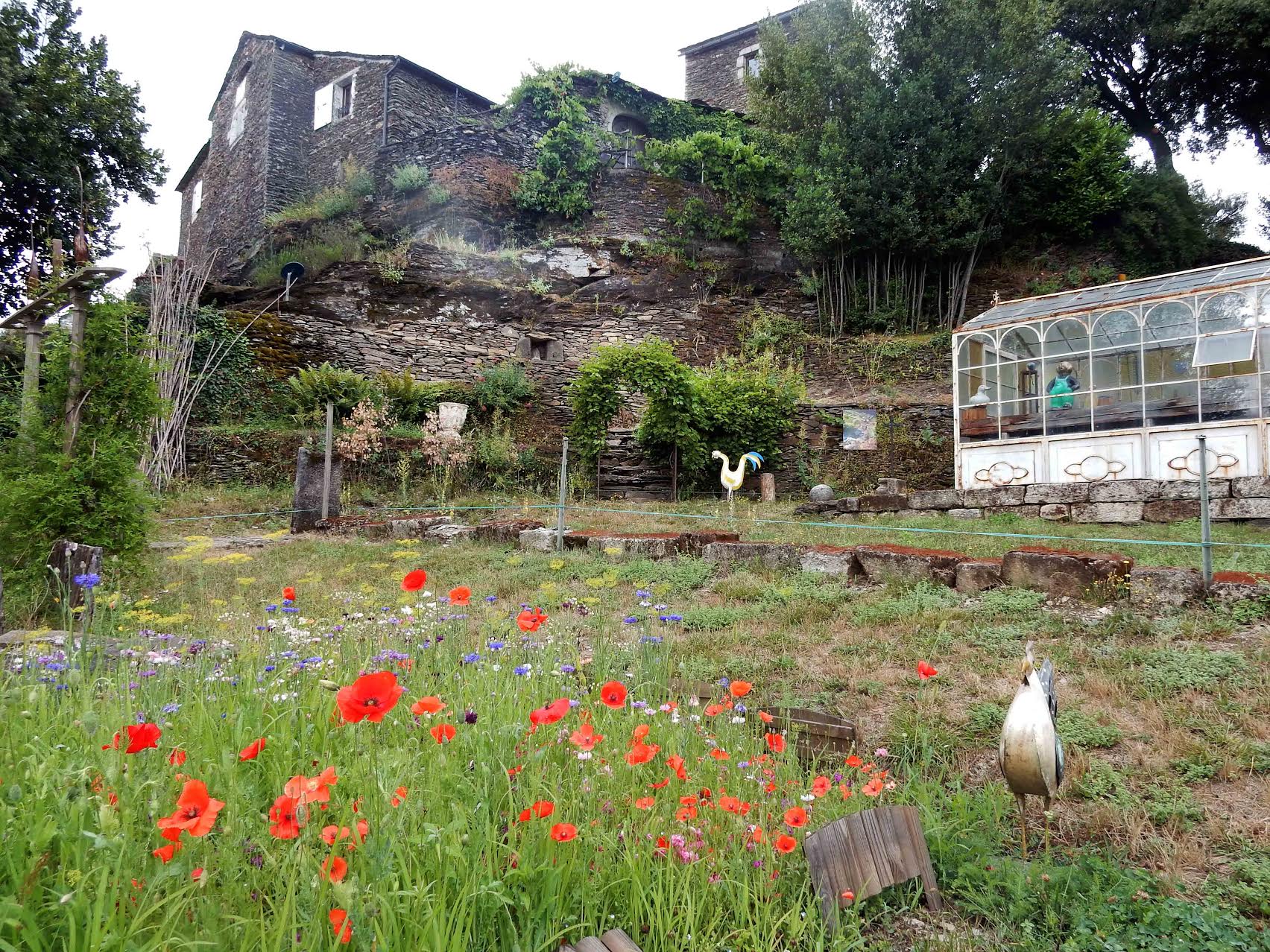 TEMPS DES JARDINS : SKITE SAINTE FOY