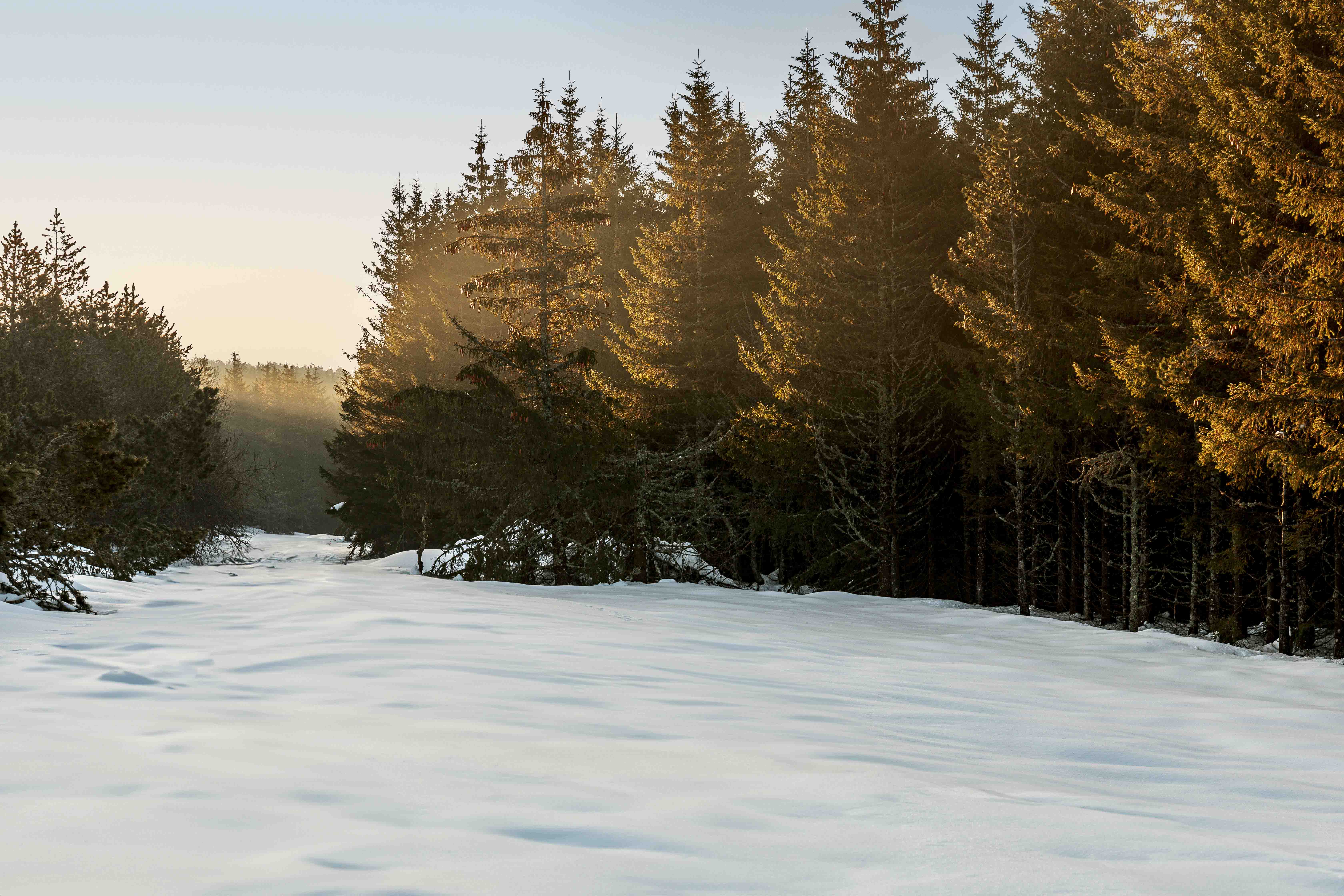 STATION DE SKI DU BLEYMARD MONT LOZERE, Mont Lozère et Goulet