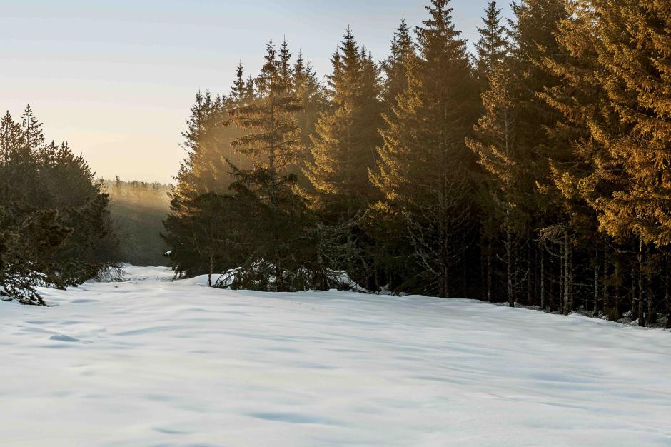 station bleymard mont lozere 2024 BD (15) 