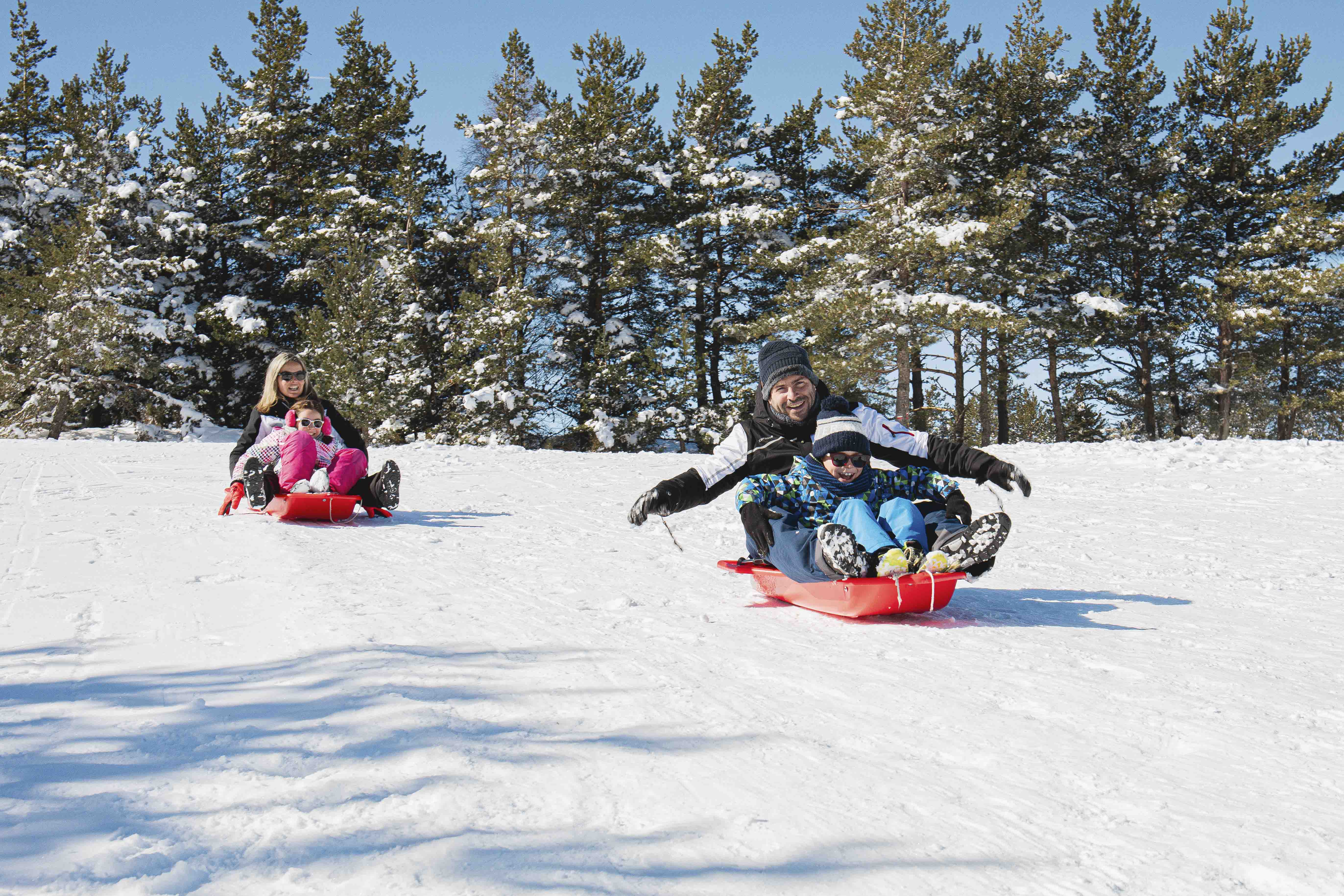 STATION DE SKI DU BLEYMARD MONT LOZERE, Mont Lozère et Goulet - photo 4