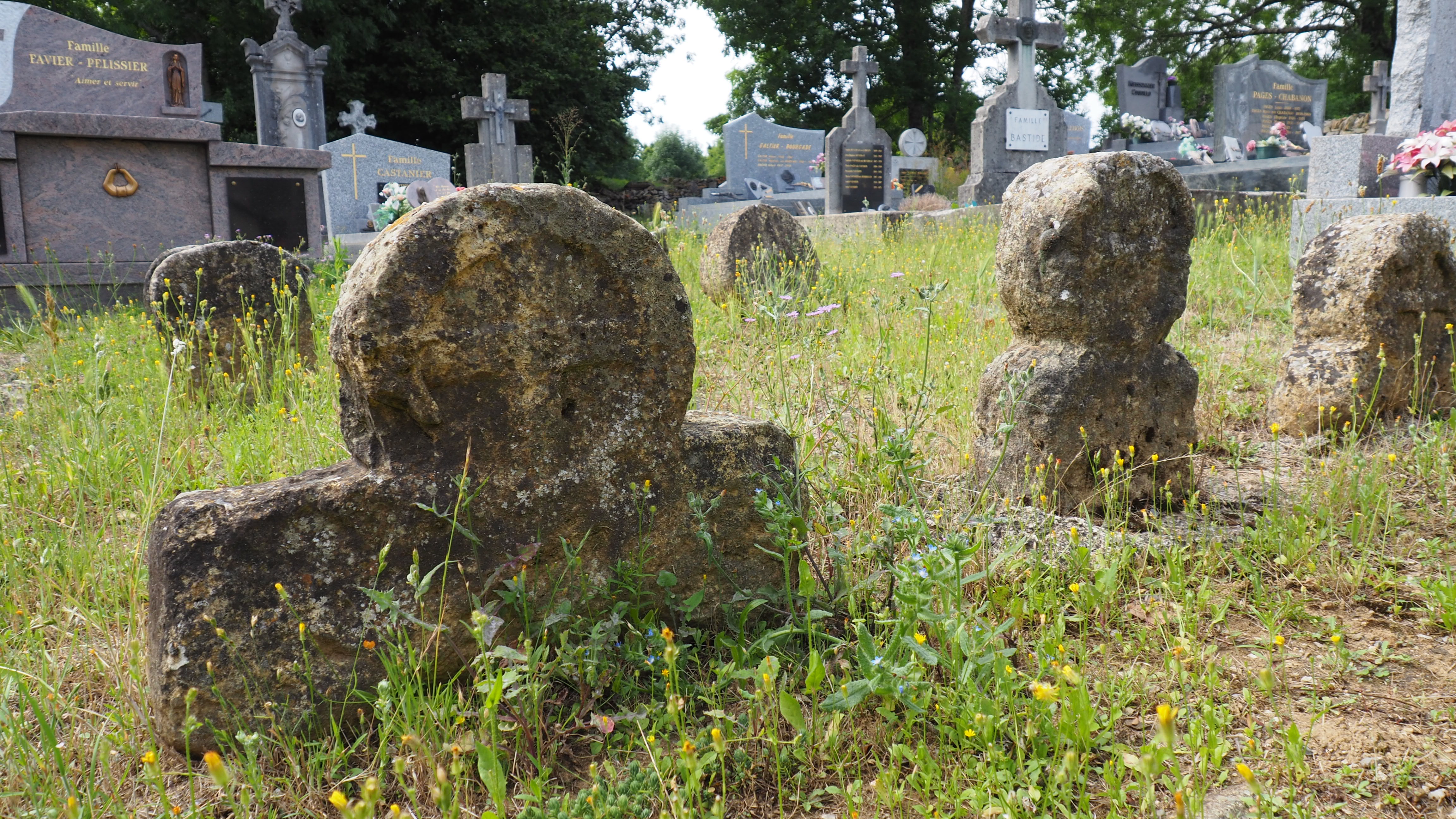 EGLISE SAINT-MARTIN DE PIN, Bourgs sur Colagne - photo 3