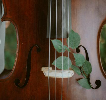 violoncelle
