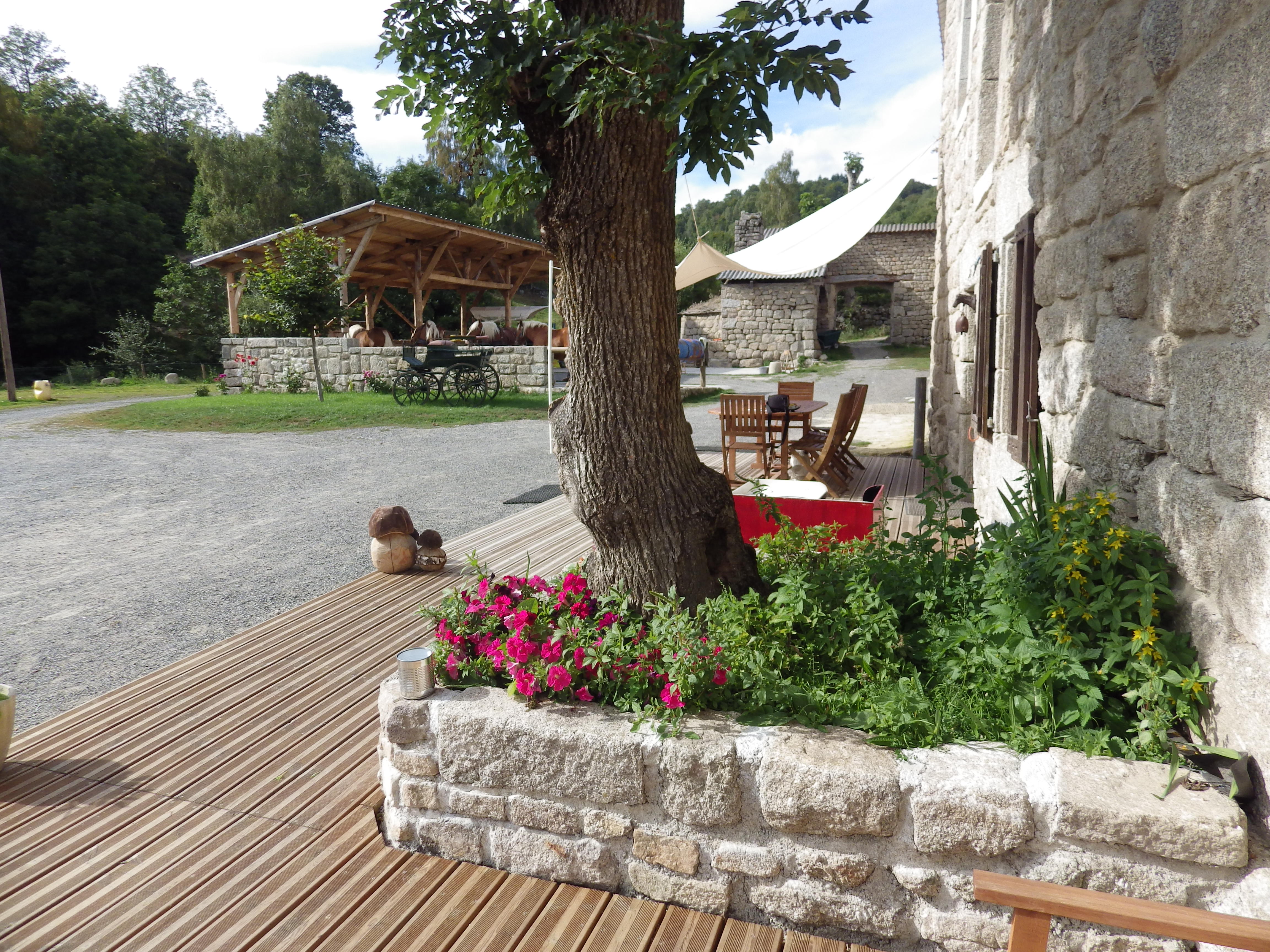 YOURTE NATURE, Antrenas - photo 4