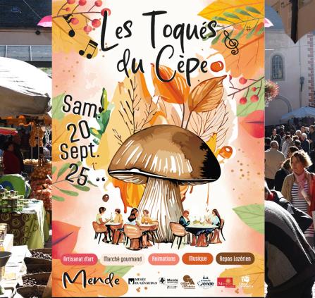 toques-cepe-2025