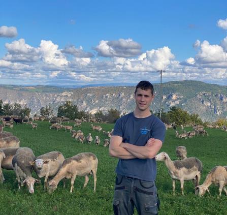 Un été à la ferme Gaec Aubepine