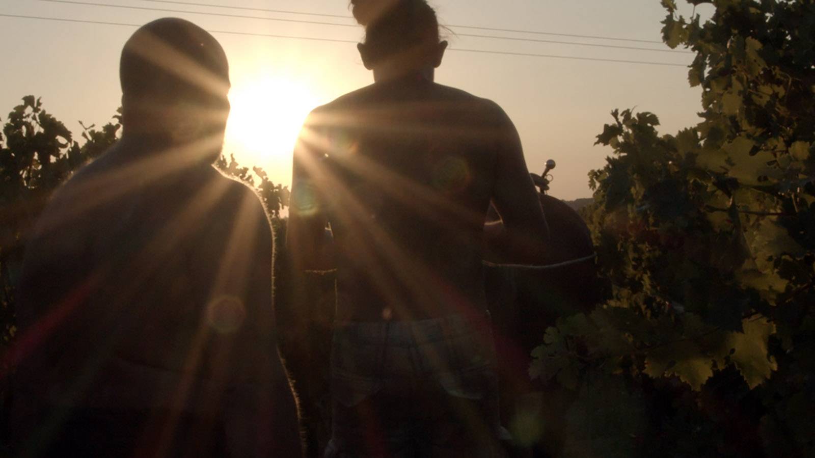 SOIRÉE VIGNERONNE : DÉGUSTATION DE VINS ET PROJECTION FILM
