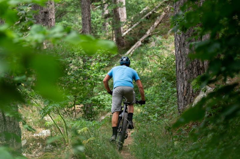 Sources de l'Allier - VTT n°29
