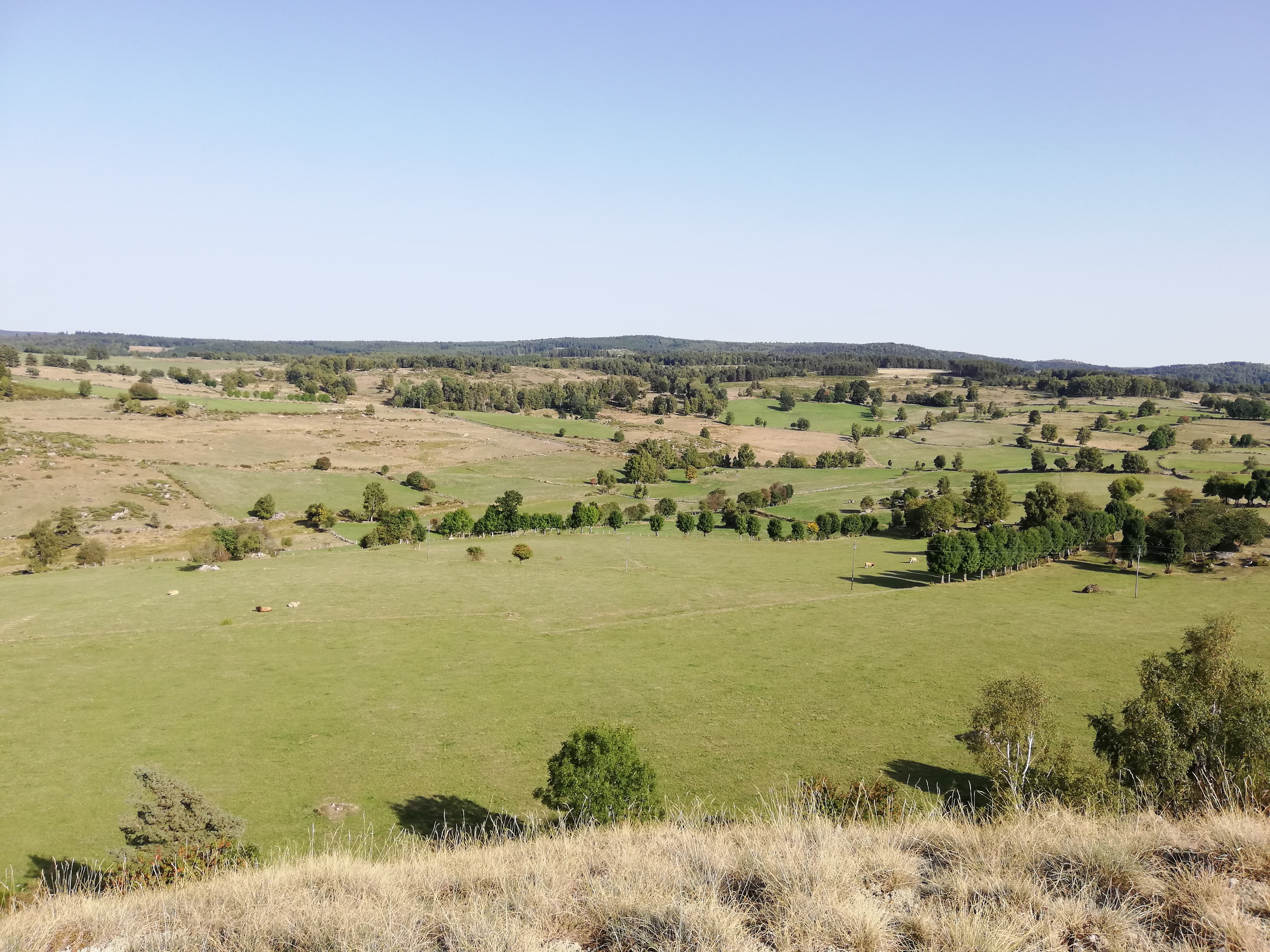 La Chaldette et le rocher du Cheylaret, Brion - photo 2