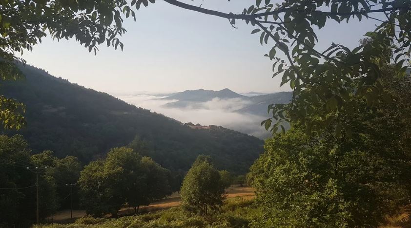 YOGA ET AYURVEDA EN CÉVENNES, Saint-Martin-de-Lansuscle - photo 3